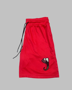 Half Mammal Mesh Shorts