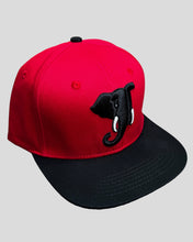 Load image into Gallery viewer, Logo Snapback