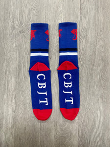 Blue Logo Socks