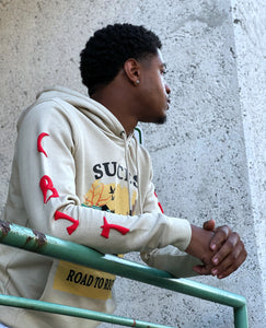 Road to Success Hoodie Red Sleeve